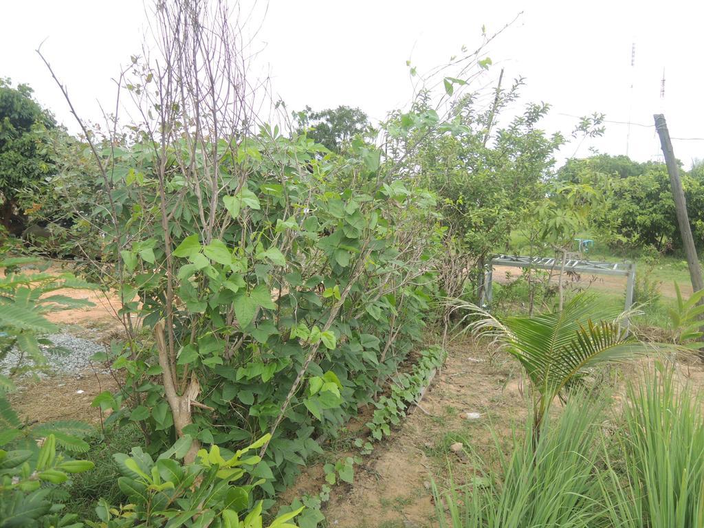 Bunyong Ciudad de Siem Riep